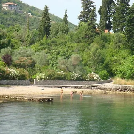 Velike Rose * Podgorica